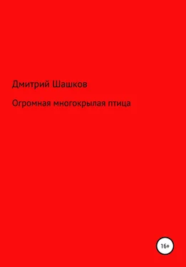 Дмитрий Шашков Огромная многокрылая птица обложка книги