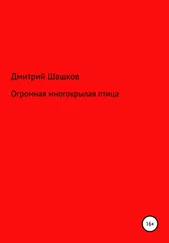 Дмитрий Шашков - Огромная многокрылая птица