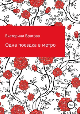 Екатерина Врагова Одна поездка в метро обложка книги
