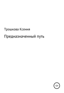 Ксения Трошкова Предназначенный путь обложка книги