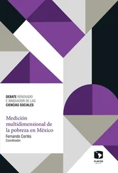 Fernando Cortés - Medición multidimensional de la pobreza