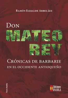 Ramón Elejalde Don Mateo Rey обложка книги