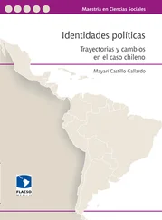 Mayarí Castillo Gallardo - Identidades políticas