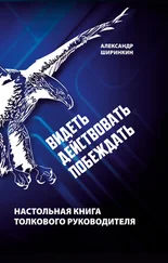 Александр Ширинкин - Видеть. Действовать. Побеждать. Настольная книга толкового руководителя