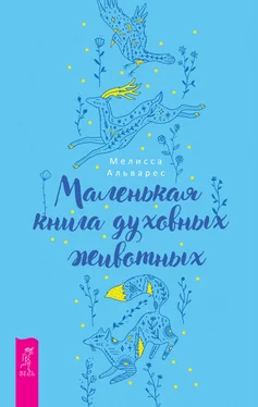 Мелисса Альварес Маленькая книга духовных животных обложка книги