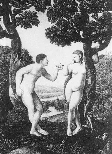 Рис 14 Адам и Ева Ян ван Скорель 1540 Заключение Опираясь на - фото 20