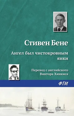 Стивен Бене Ангел был чистокровным янки обложка книги