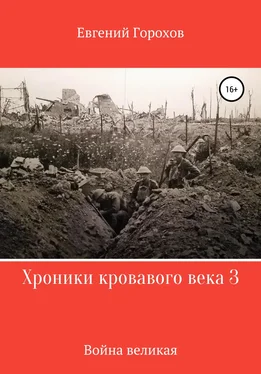 Евгений Горохов Хроники кровавого века 3: война великая обложка книги