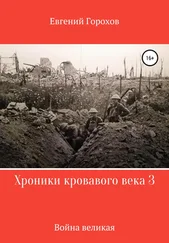 Евгений Горохов - Хроники кровавого века 3 - война великая