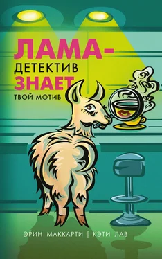 Кэти Лав Лама-детектив знает твой мотив обложка книги