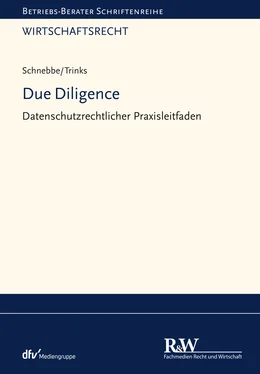 Maximilian Schnebbe Due Diligence обложка книги