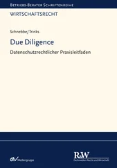 Maximilian Schnebbe - Due Diligence