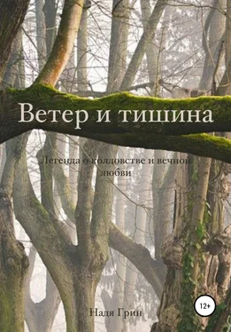 Надя Грин Ветер и тишина обложка книги