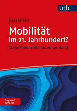 Gerald Pilz Mobilität im 21. Jahrhundert? Frag doch einfach! обложка книги