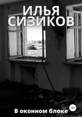 Илья Сизиков В оконном блоке обложка книги