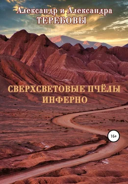 Александра Теребова Сверхсветовые пчелы. Инферно обложка книги