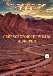 Александра Теребова - Сверхсветовые пчелы. Инферно