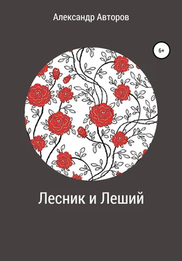Александр Авторов Лесник и Леший обложка книги