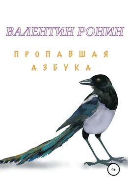 Валентин Ронин Пропавшая азбука обложка книги