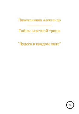Александр Пинежанинов Тайны заветной тропы обложка книги