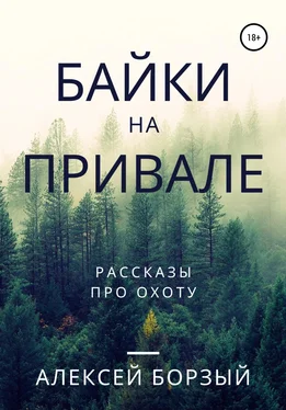 Алексей Борзый Байки на привале обложка книги