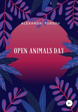 Александр Фурсов Open Animals Day обложка книги