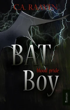 C. A. Raaven BAT Boy 2 обложка книги