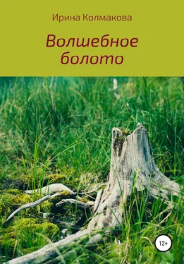 Ирина Колмакова Волшебное болото обложка книги