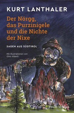 Kurt Lanthaler Der Nörgg, das Purzinigele und die Nichte der Nixe обложка книги