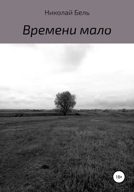 Николай Бель Времени мало обложка книги