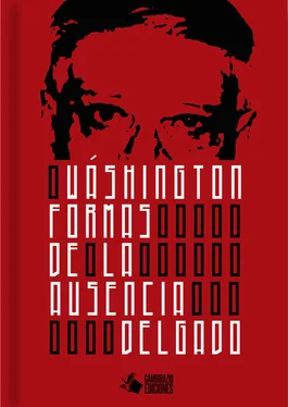 Wáshington Delgado Formas de la ausencia обложка книги