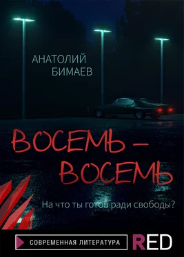 Анатолий Бимаев Восемь-восемь обложка книги