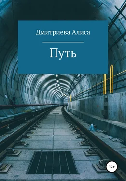 Алиса Дмитриева Путь обложка книги
