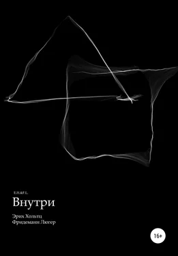 Array Фридеманн Люгер Внутри обложка книги