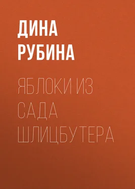 Дина Рубина Яблоки из сада Шлицбутера обложка книги