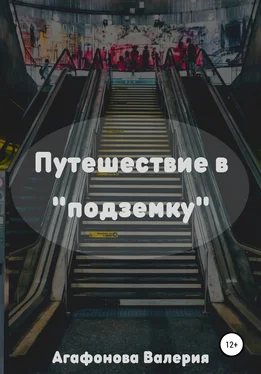 Валерия Агафонова Путешествие в «подземку» обложка книги