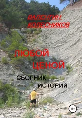 Валентин Колесников - Любой ценой. Сборник историй