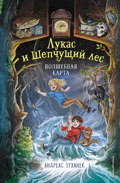 Андреас Зуханек Волшебная карта обложка книги