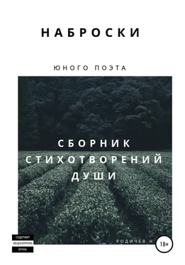 Никита Родичев Наброски юного поэта, или Сборник стихотворений души обложка книги