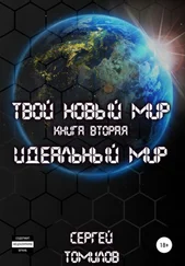 Сергей Томилов - Идеальный мир
