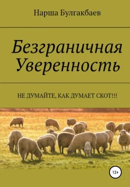 Нарша Булгакбаев Безграничная Уверенность обложка книги