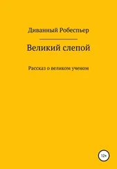 Диванный Робеспьер - Великий слепой