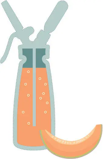 FERMENTATION Technik Gemüse wird mit Salz und Wasser und evtl Gewürzen in - фото 239