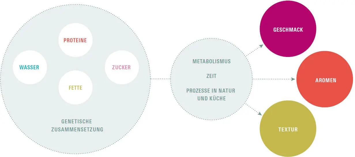 Zusammensetzung und äußere Faktoren haben wesentlichen Einfluss auf das - фото 114