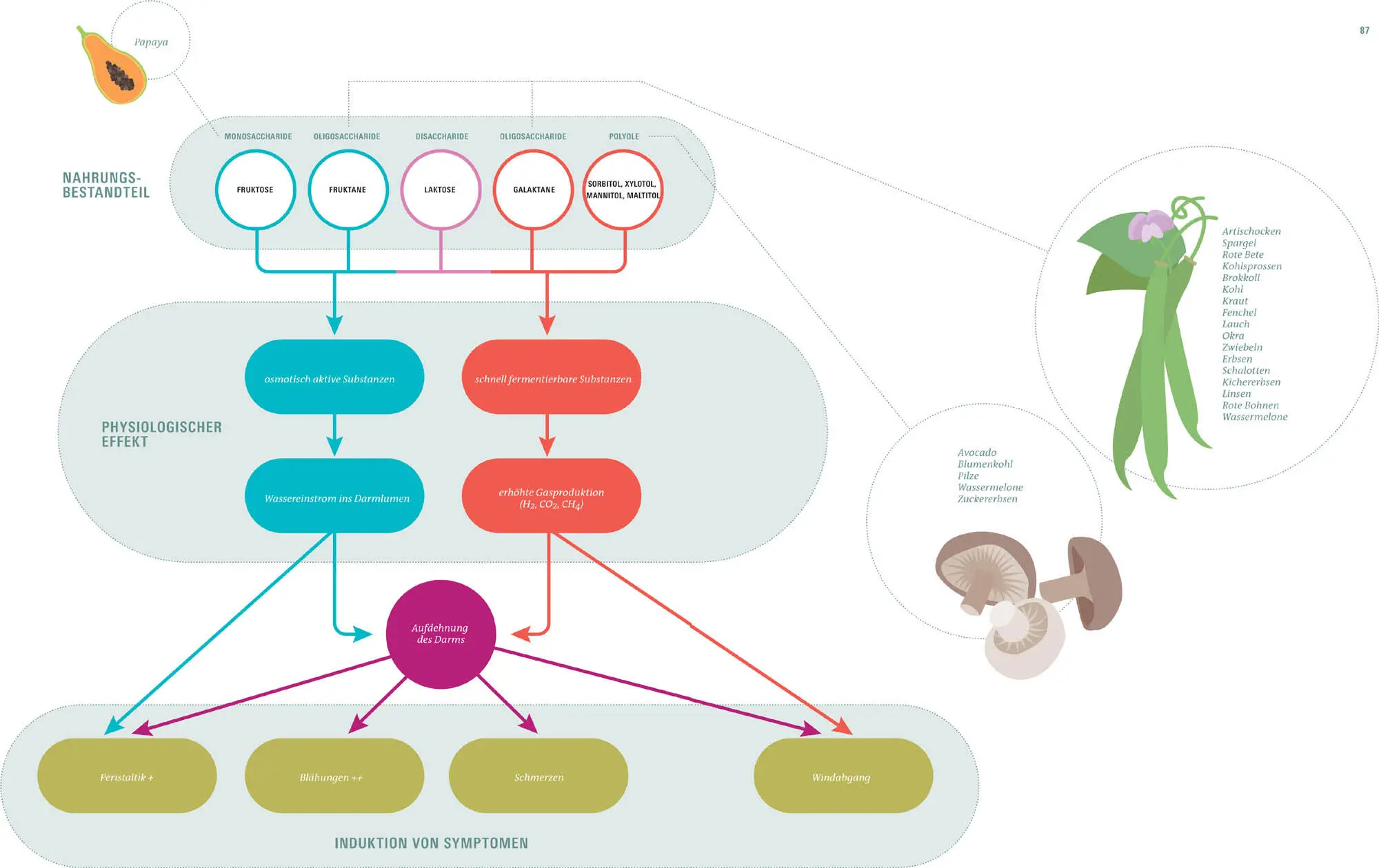 NEUE TECHNIKEN IN DER GEMÜSEKÜCHE Zurück zur Kultur und zu den Basiszuständen - фото 224