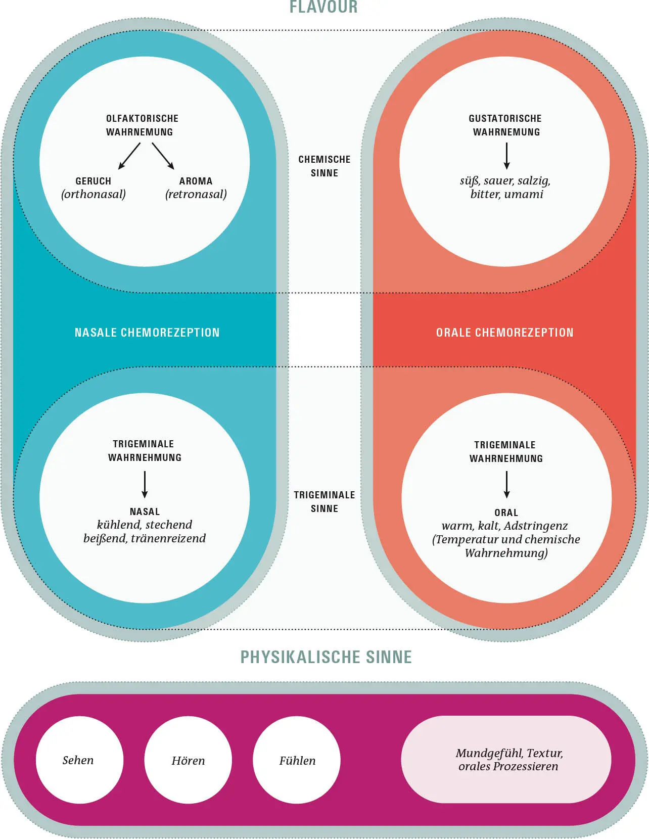 KLEINE NATURWUNDER Viele Gemüse erkennt man mit verbundenen Augen Sie haben - фото 113