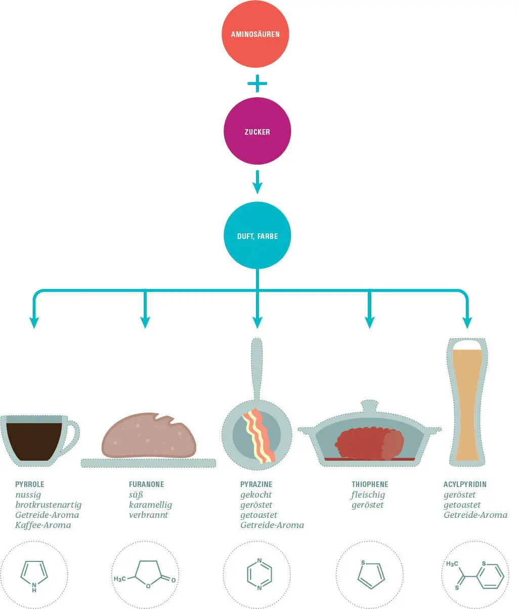 pHWertAbhängigkeit der Maillardreaktion Die Zahl der reaktiven Gruppen - фото 244