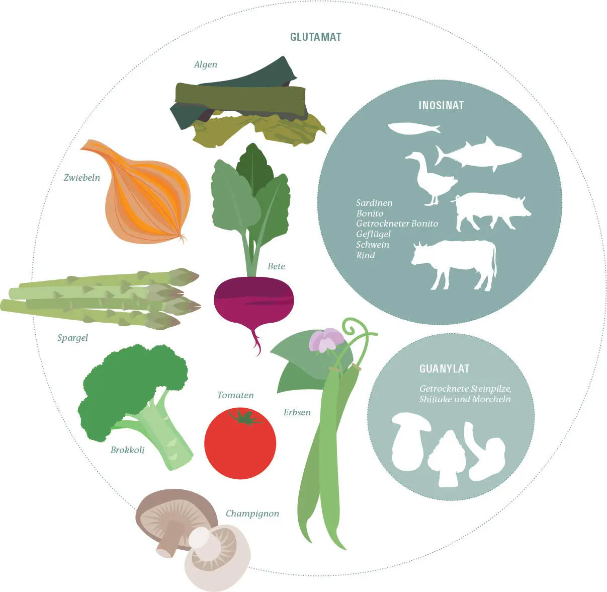 PILZE sind mit freier Glutaminsäure reichlich bestückt Sie enthalten hohe - фото 194