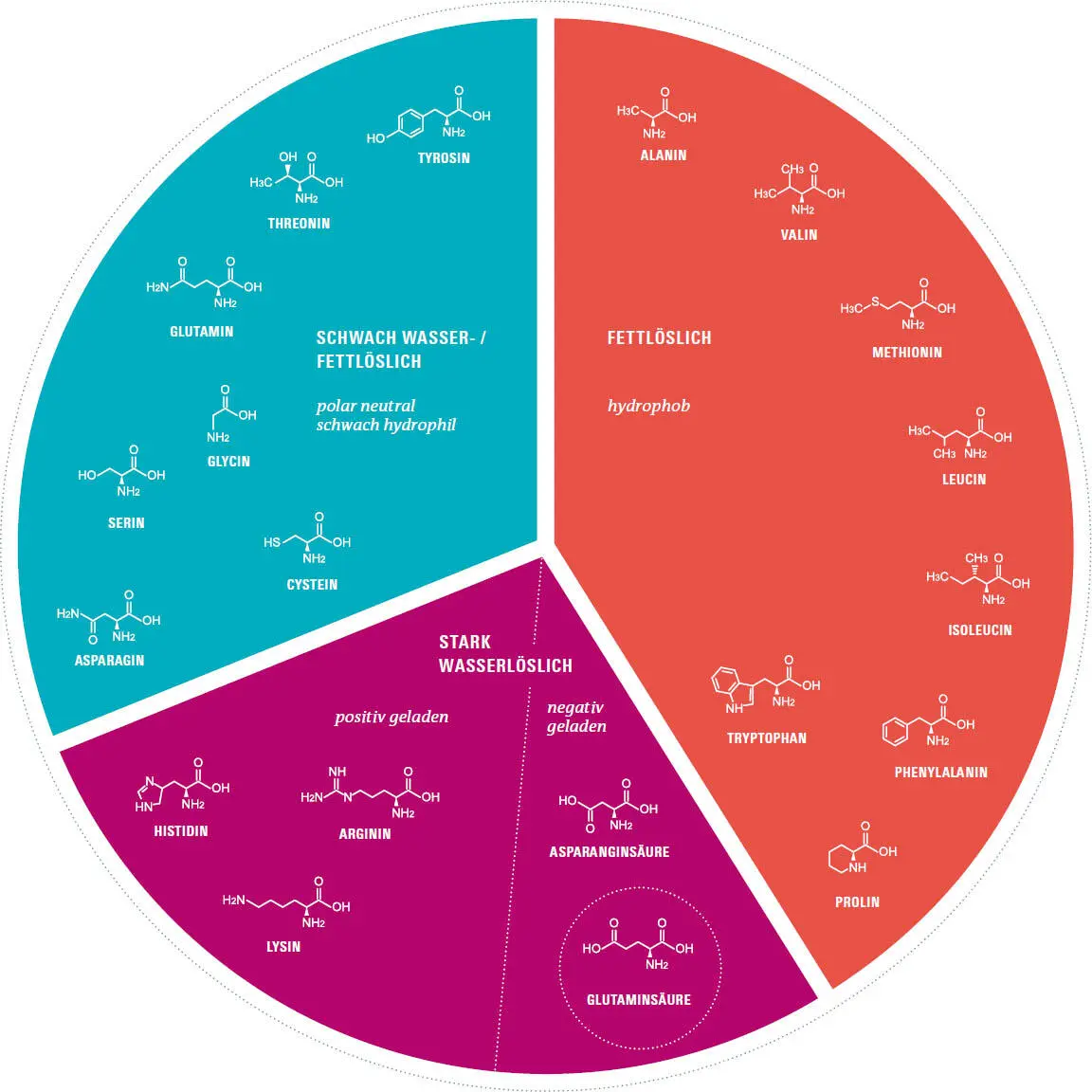 GLUTAMINSÄURE Man kann hier unschwer erkennen warum sich in allen - фото 193