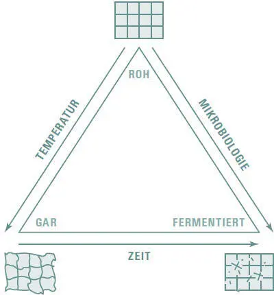 Schematische Darstellung des kulinarischen Dreiecks aus molekularer Sicht Rohe - фото 199